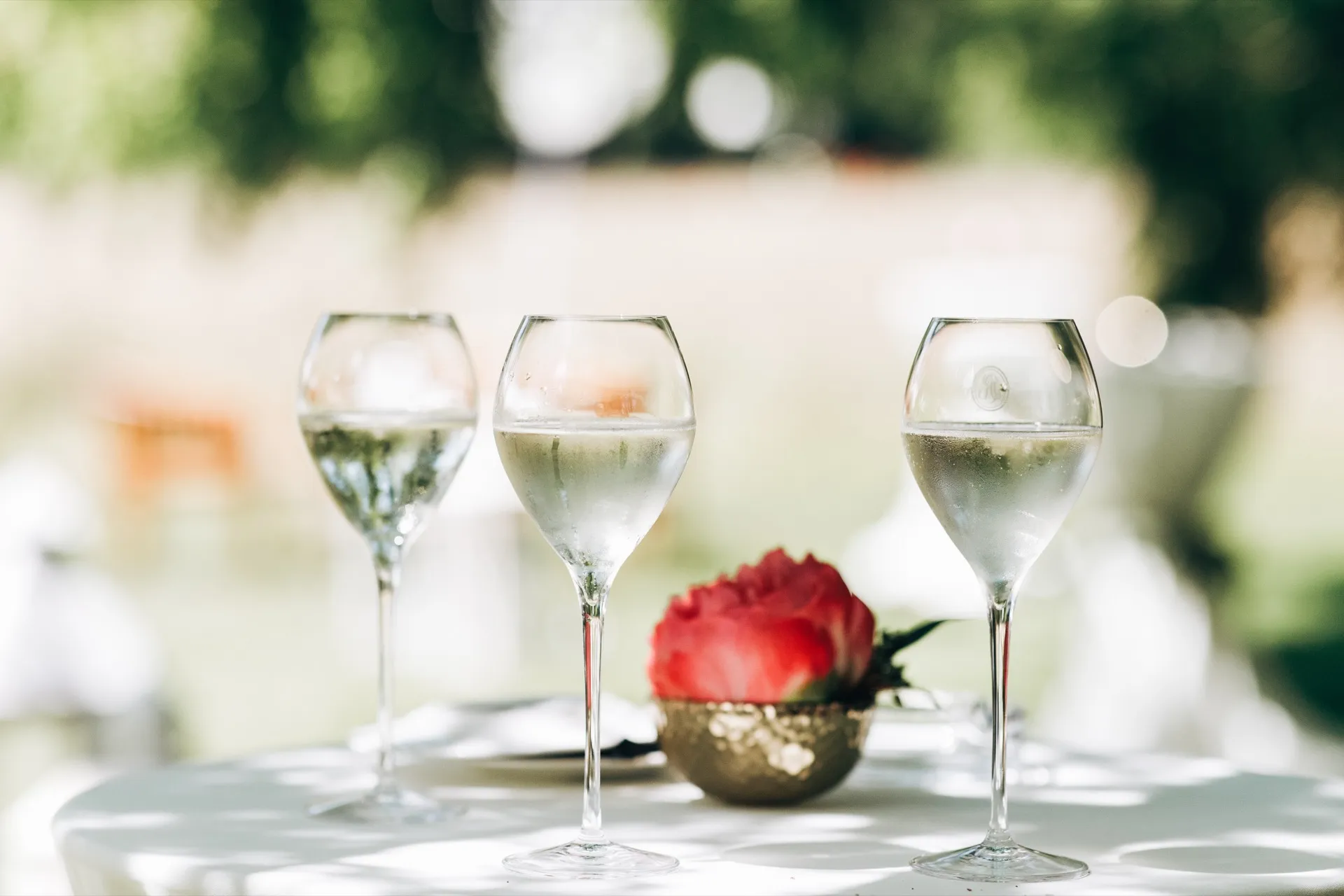 Celebrate, Create, Relax